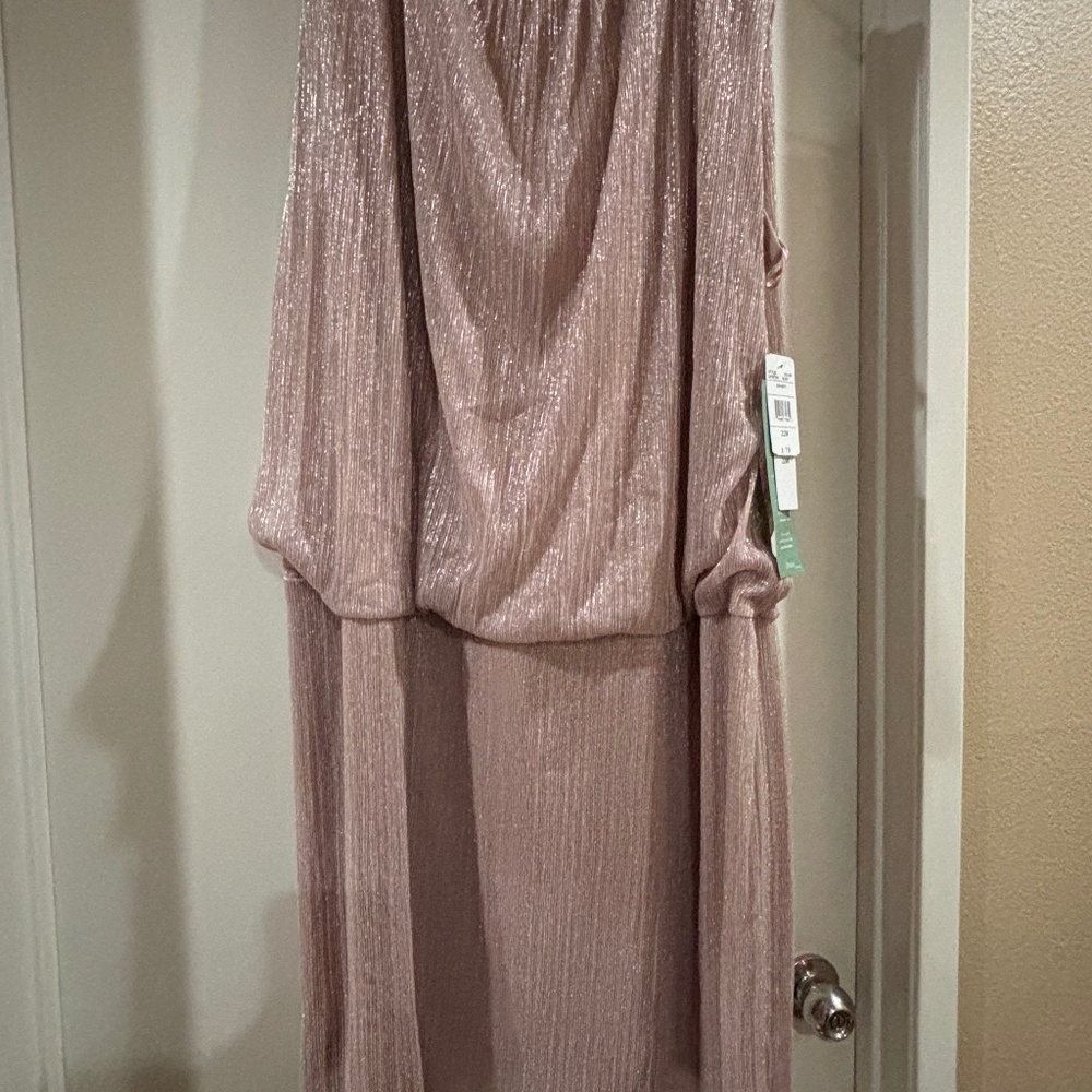 Pretty sheer blush sleeveless dress
